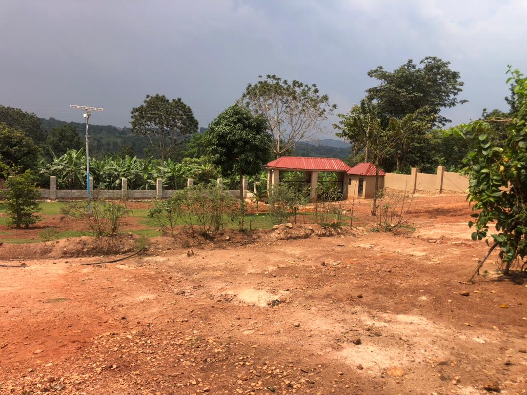 Traditional healing shrine associated with Jemba Lumira-Mayengo